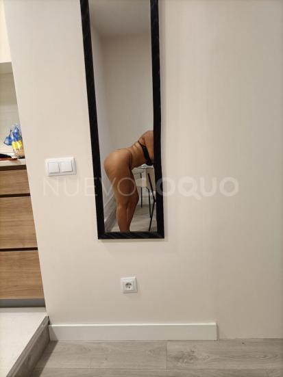 NuevoLoquo3