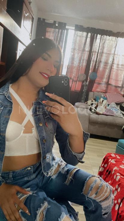 NuevoLoquo2