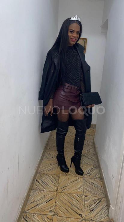 NuevoLoquo2