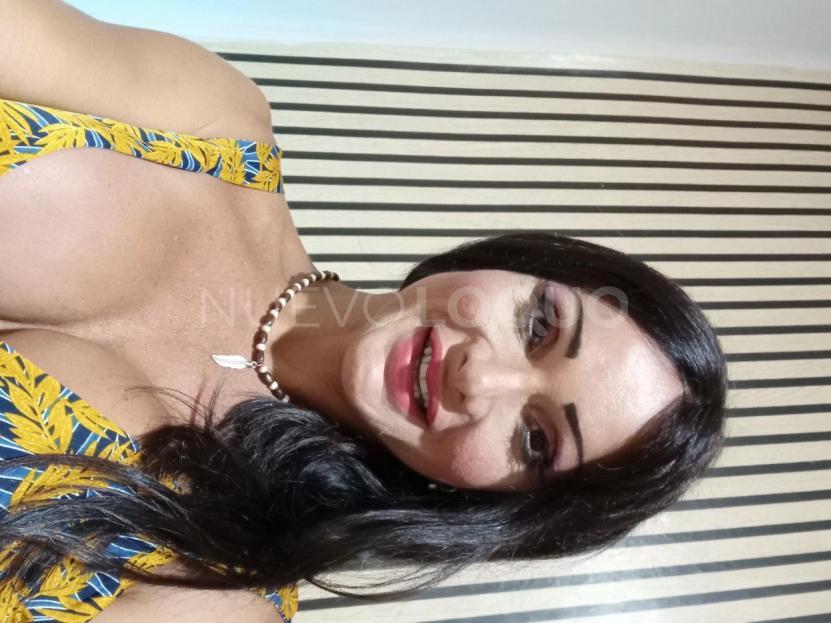 NuevoLoquo3