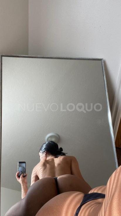 NuevoLoquo3