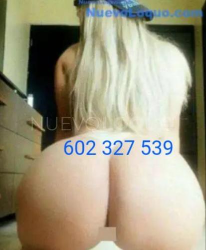 NuevoLoquo2