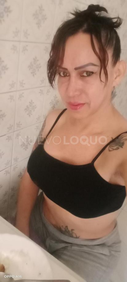 NuevoLoquo1