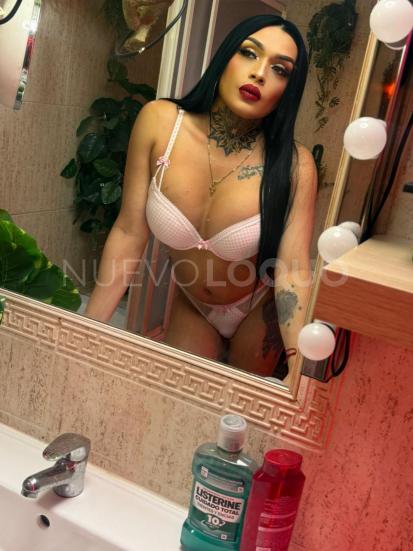NuevoLoquo3