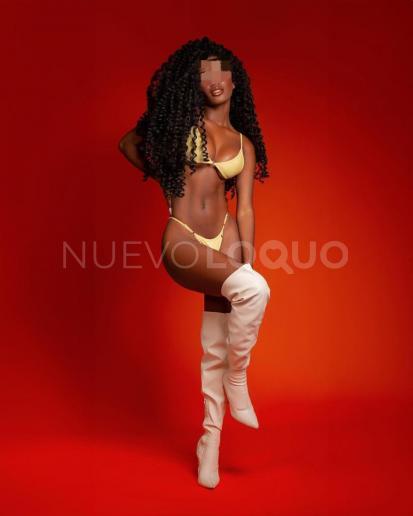 NuevoLoquo3