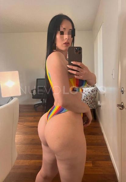 NuevoLoquo4