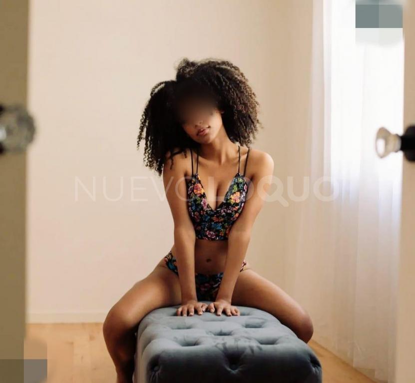 NuevoLoquo3