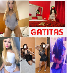 GATITAS VIP. ESPECTACULARES VERSÁTILES,PARA LOS GUSTOS MAS EXIGENTES /climatizado️️