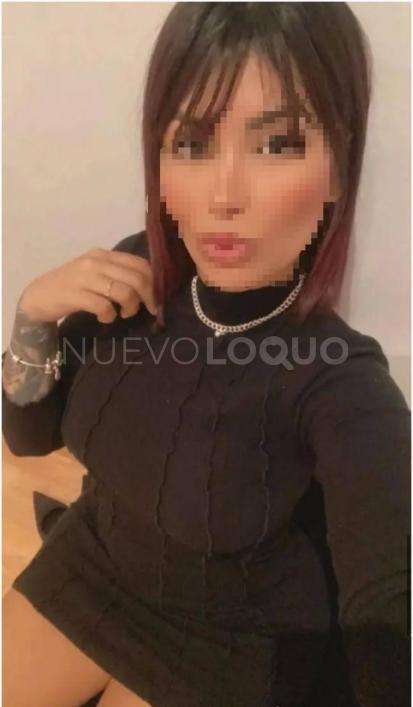 NuevoLoquo3