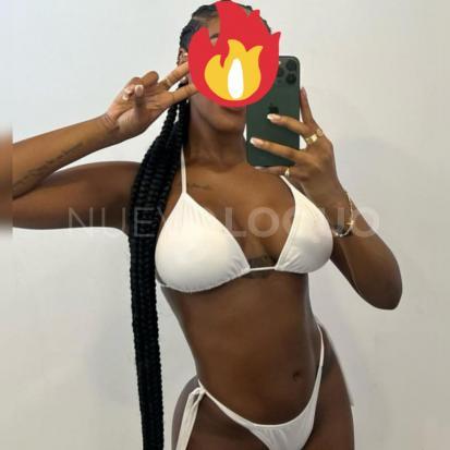 NuevoLoquo2
