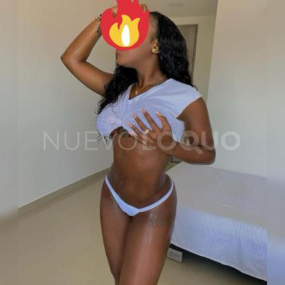 NuevoLoquo5