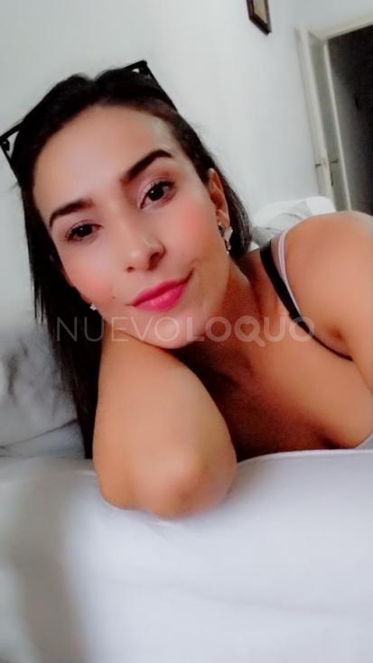 NuevoLoquo3