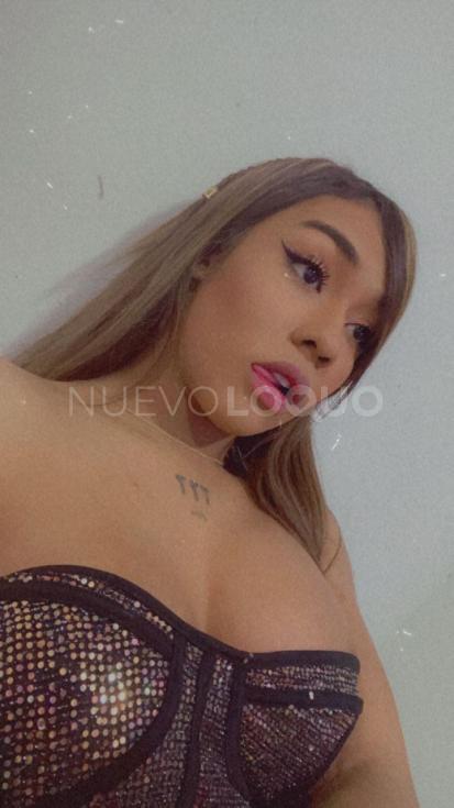 NuevoLoquo1
