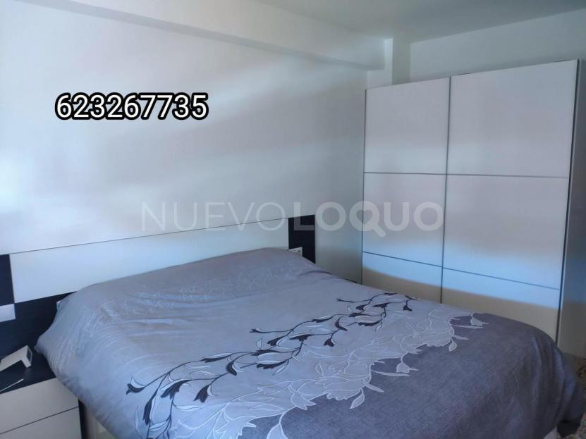 NuevoLoquo2
