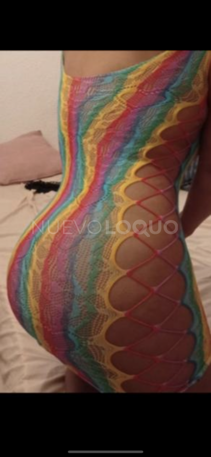 NuevoLoquo3
