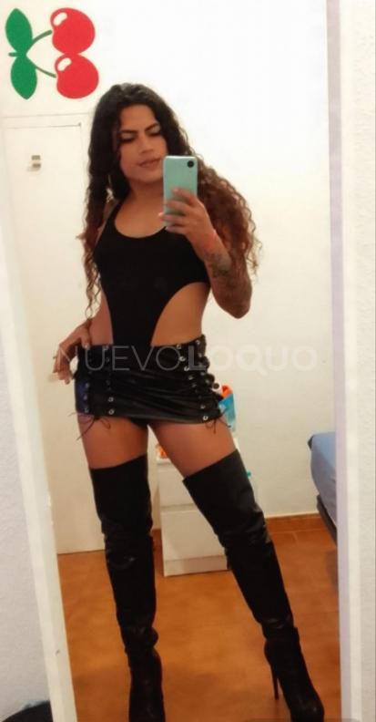 NuevoLoquo2