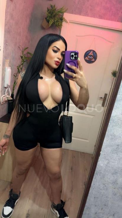 NuevoLoquo3