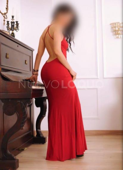 NuevoLoquo2