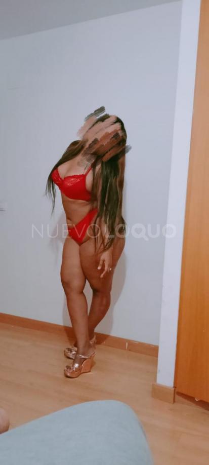 NuevoLoquo3