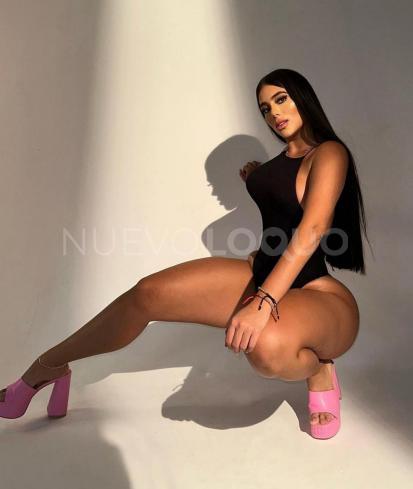 NuevoLoquo3