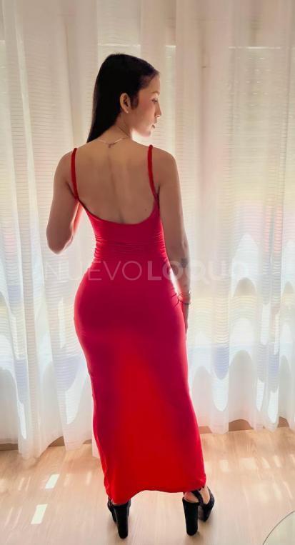 NuevoLoquo5