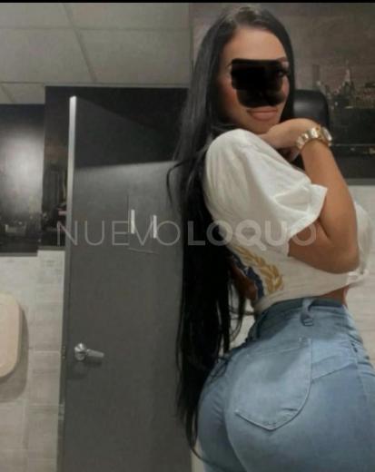 NuevoLoquo3
