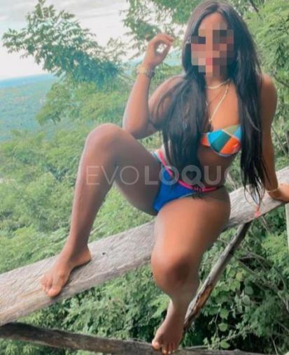 NuevoLoquo3