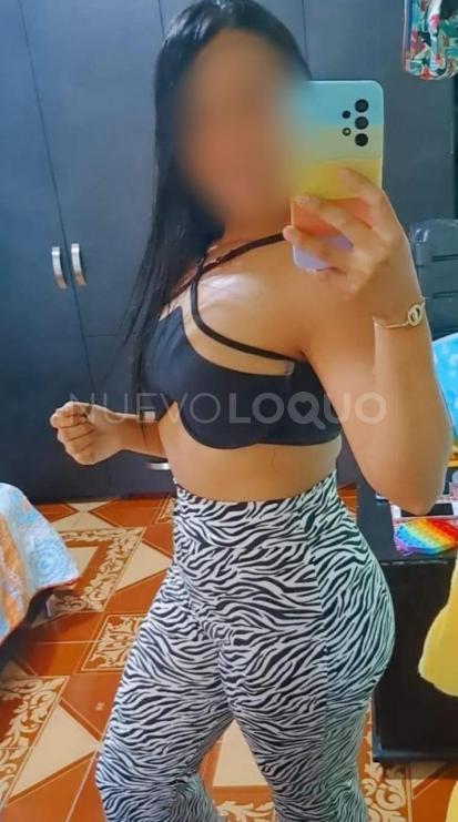 NuevoLoquo3