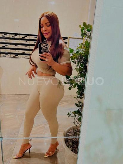 NuevoLoquo2