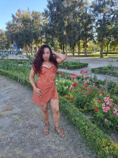  Mulata latina disponible para ti