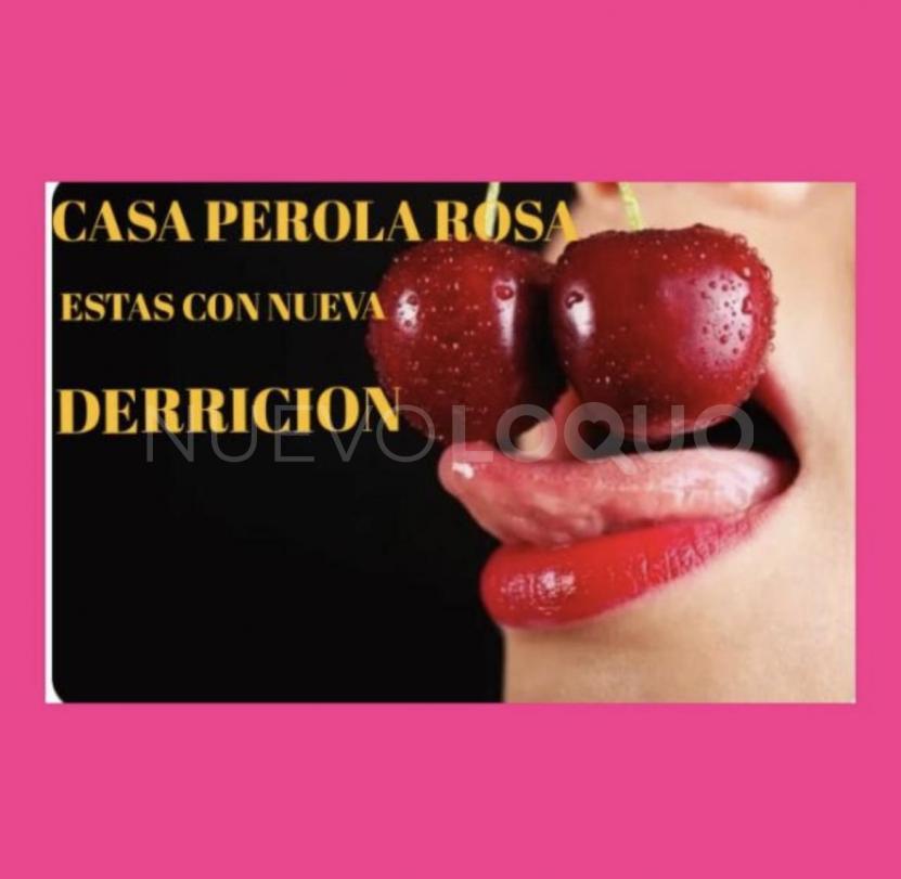 NuevoLoquo2