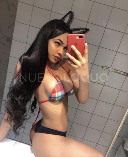 NuevoLoquo4