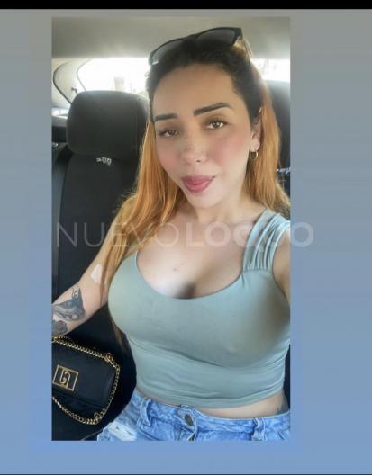 NuevoLoquo3
