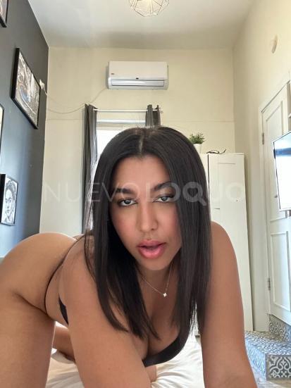 NuevoLoquo3
