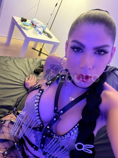 NuevoLoquo1