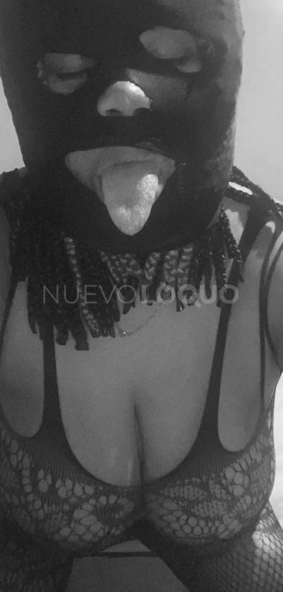 NuevoLoquo1