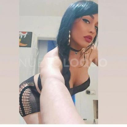 NuevoLoquo4