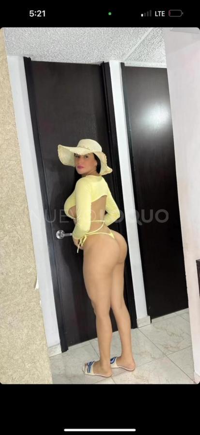NuevoLoquo2
