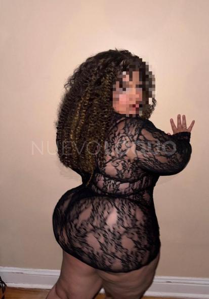 NuevoLoquo3