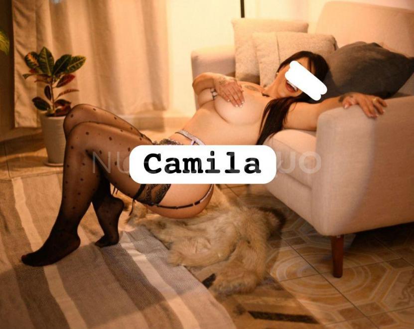  Novedad Latina