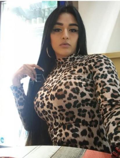 NuevoLoquo2
