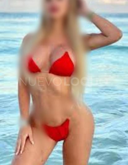 NuevoLoquo4