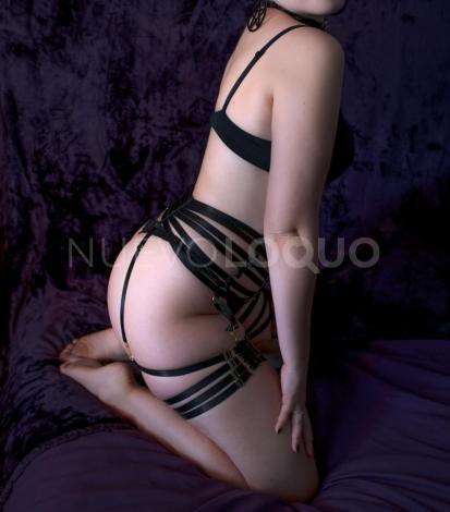 NuevoLoquo3