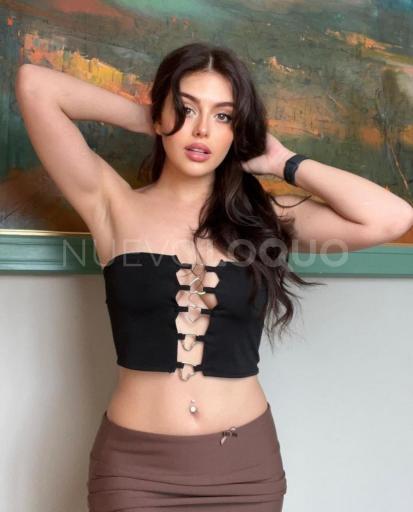 NuevoLoquo1