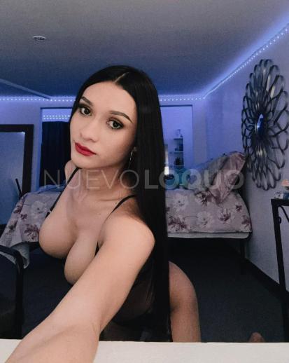 NuevoLoquo2