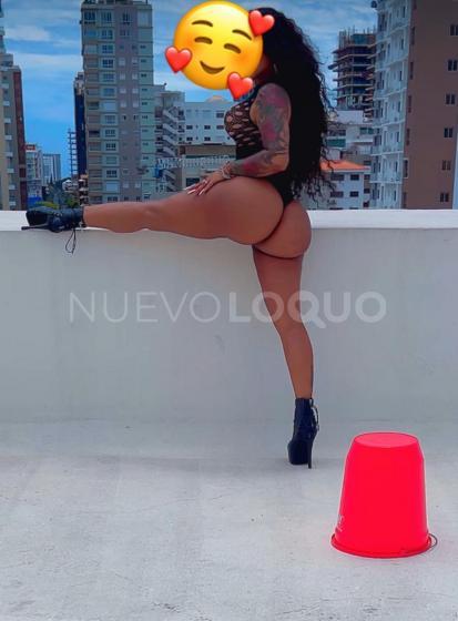NuevoLoquo1