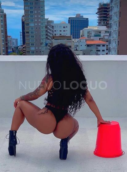 NuevoLoquo2