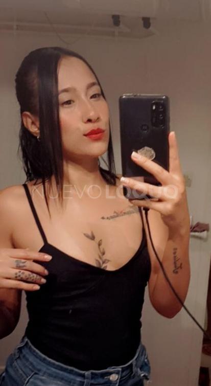 NuevoLoquo3