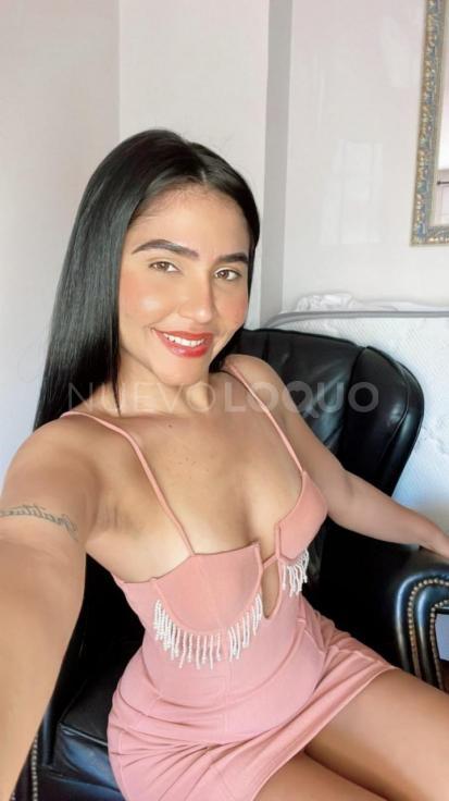 NuevoLoquo2