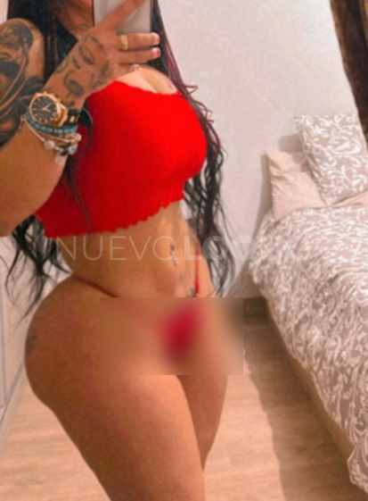 NuevoLoquo4